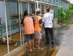 Lapas Kelas IIA Salemba Kembangkan Budidaya Ayam Kampung dengan Mesin Penetas