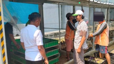 Lapas Salemba Kembangkan Budidaya Maggot, Dukung Ketahanan Pangan dan Kurangi Sampah Organik